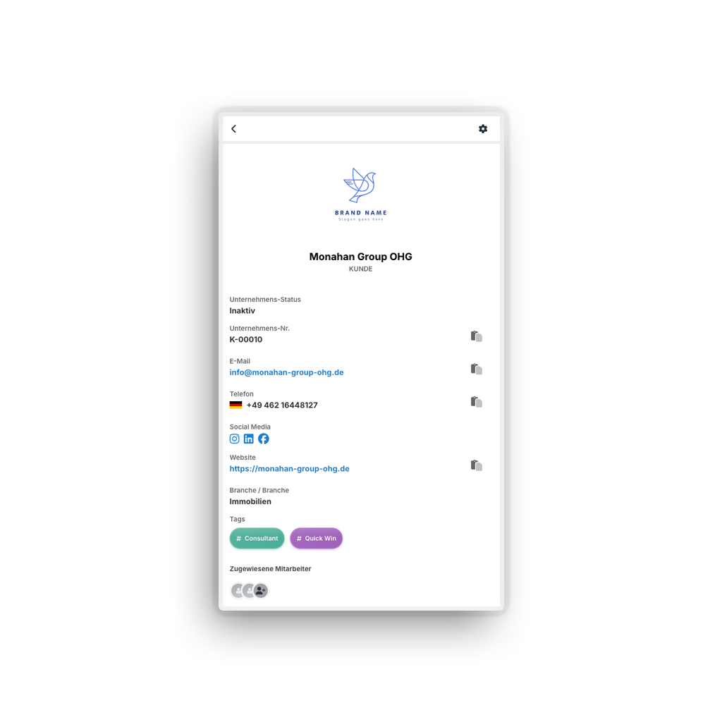 crm_mock_transparent
